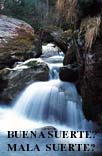 �Buena Suerte? �Mala Suerte?
