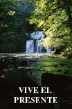 Vive el Presente